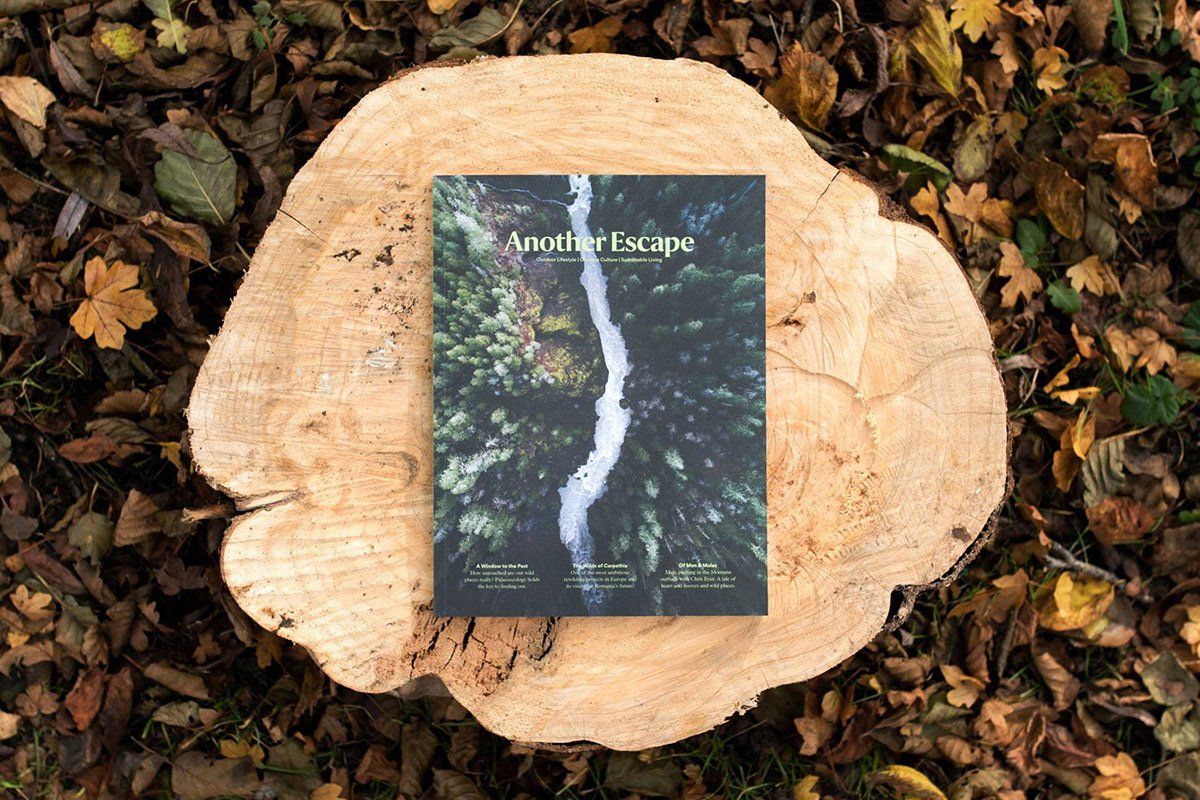 Fathom Travel Awards: The best indie travel magazines of 2018. <a href="/collectiveqtrly/">Collective Quarterly</a> <a href="/BoatMagazine/">Boat Magazine</a> <a href="/AnotherEscape/">Another Escape</a> @TravelAlmanac <a href="/staywildmag/">Stay Wild</a> <a href="/majesticdisordr/">majestic disorder</a> bit.ly/2GhqeZO