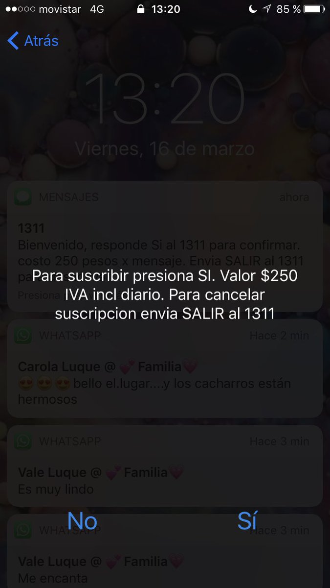 Constanza Luque tweet media