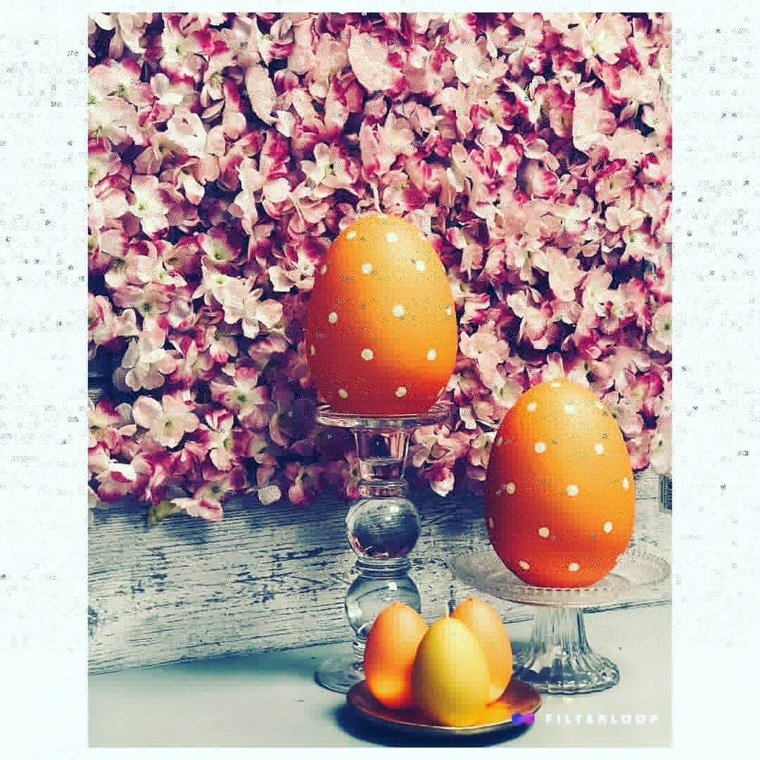 Cereria1908's tweet photo. New Easter arrivals.
Hurry up 😉👍 https://t.co/RE3HslV8vJ