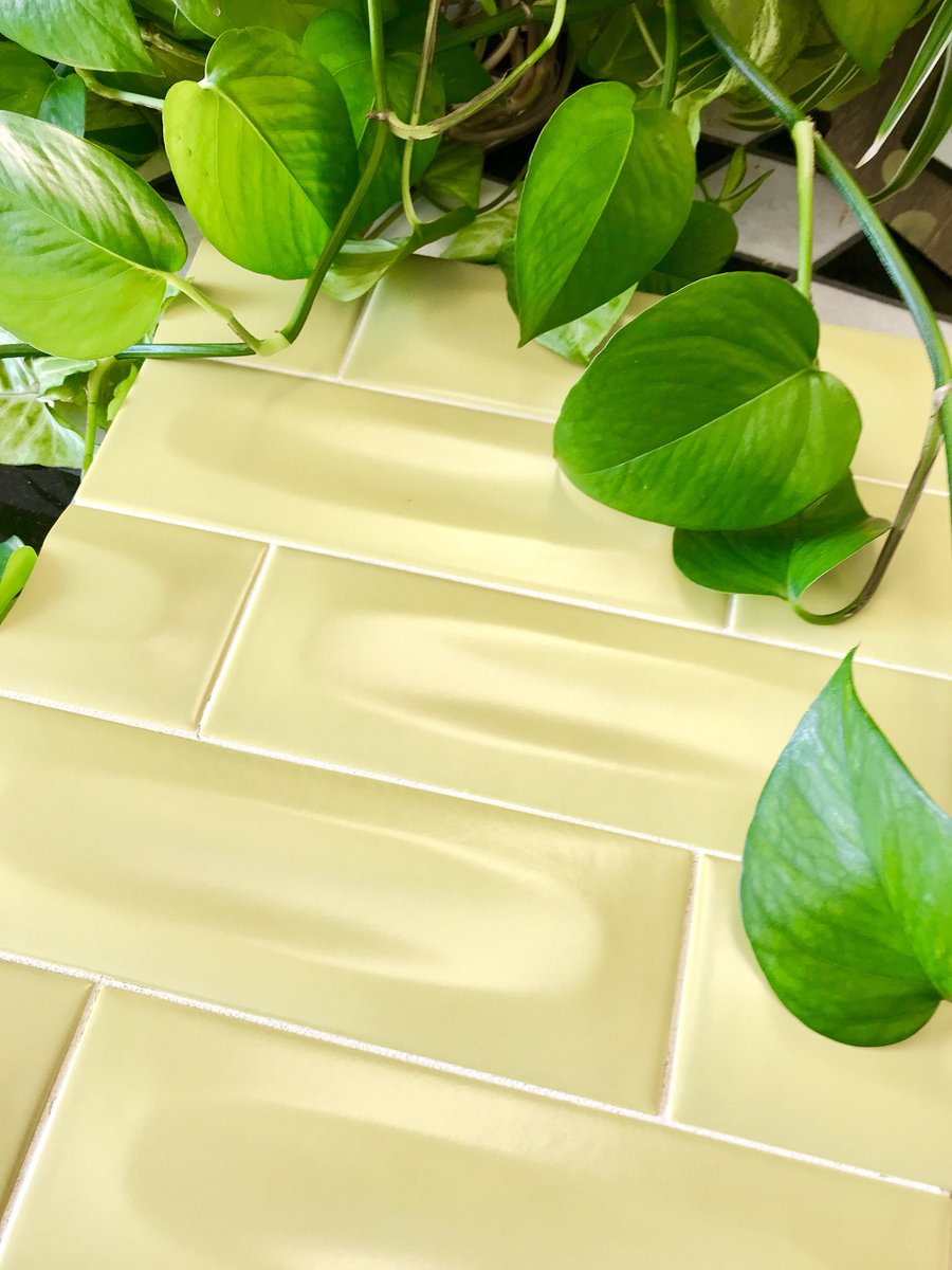 TileSensations's tweet photo. With St. Patrick’s Day tomorrow and Spring just around the corner, we can’t stop seeing green! Don’t be afraid of color in your space. Come by and see what we can do for you. #design #interiordesign #tile #TileSensations #funtilefriday #plants #green #nature #biophilicdesign https://t.co/6t5LkxfIKs