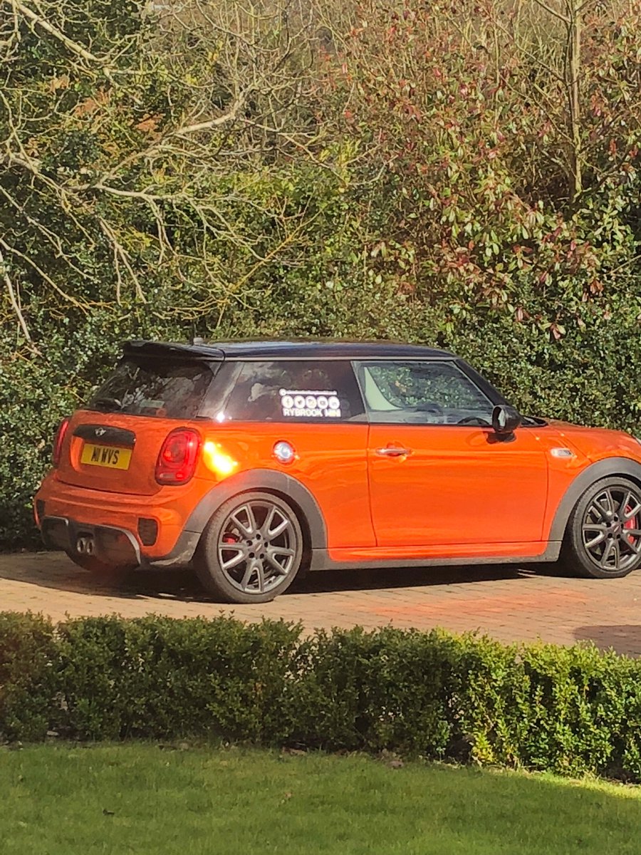 MrJodyCraddock's tweet image. I see a strange glow in the kitchen @Wolves_MINI just the mini..😱