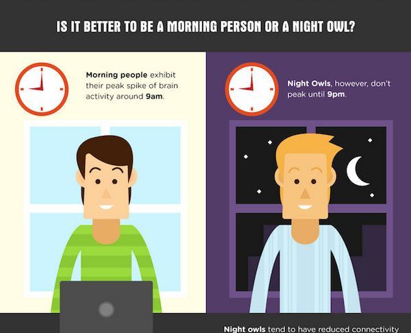 get night owl on laptop get night owl on laptop