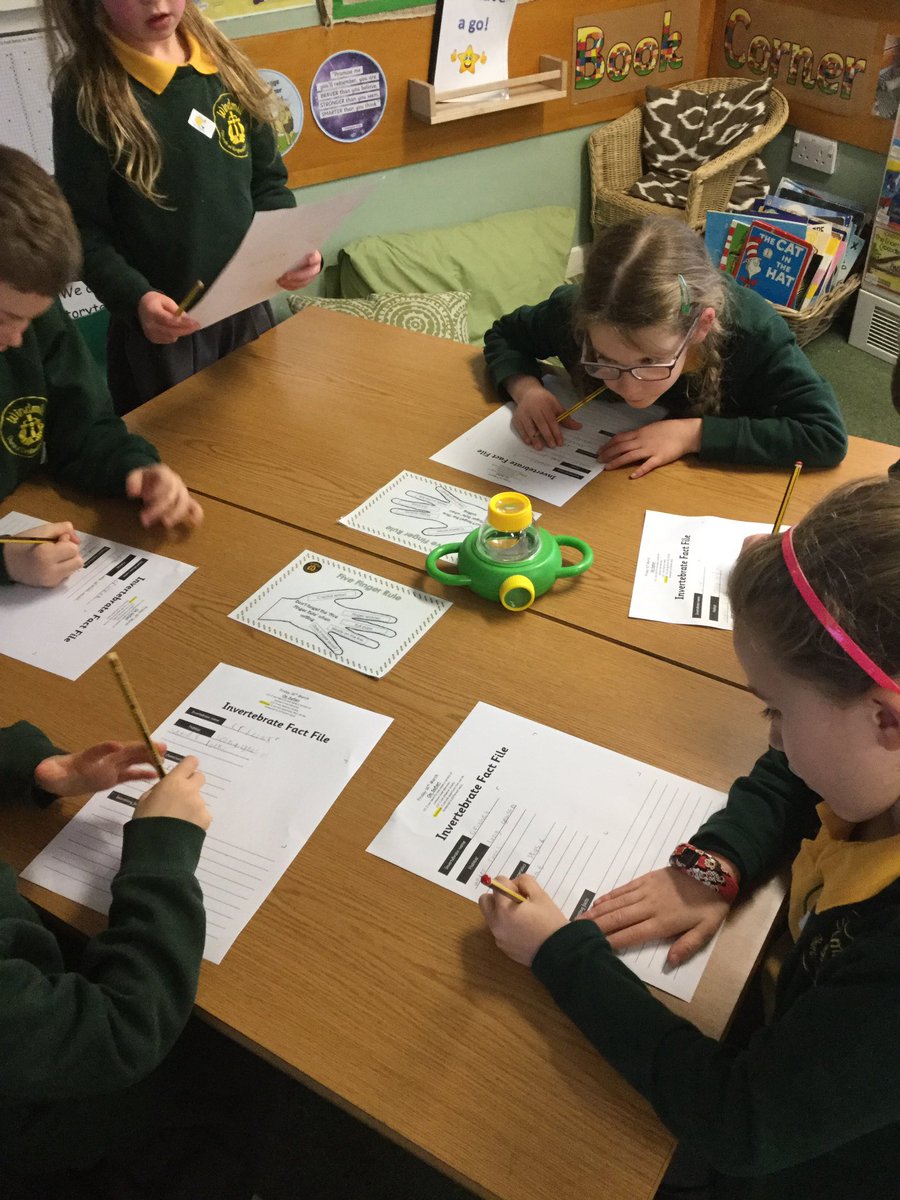 Y1_Windmill_CE's tweet photo. The Yr1 children thoroughly enjoyed our investigation today of crickets. All the children had a look even if they were a little scared. https://t.co/iF0rrdJQPe