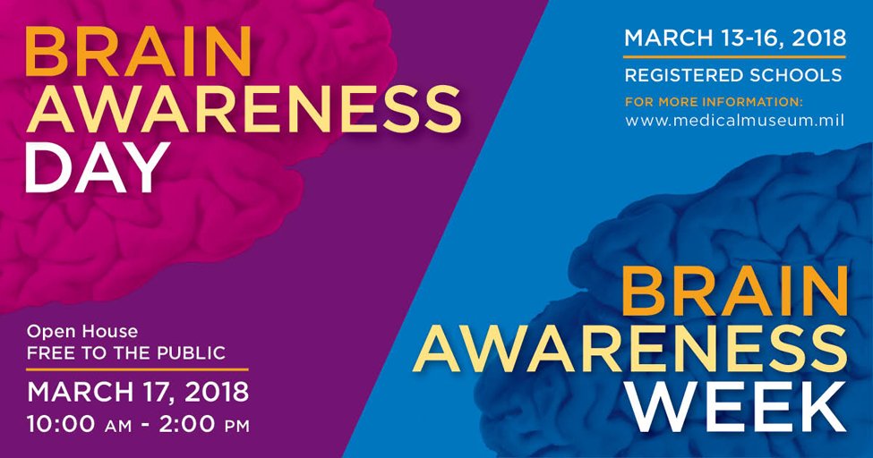 NIH_Innovates's tweet photo. Tomorrow, the @MedicalMuseum is hosting a Brain Awareness Day open house from 10am-2pm ET in Silver Spring, MD. This is a free &amp; educational family event: https://t.co/GXb2gWi7HC #BrainWeek #BAW https://t.co/OCxjTUT6F8