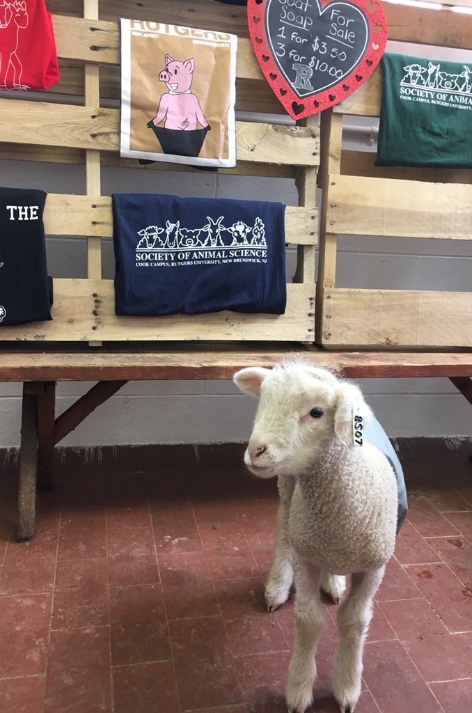 Rutgers Farm tweet media