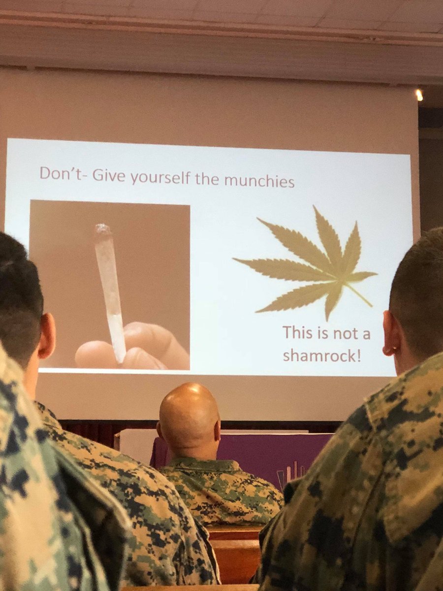 this actual weekend brief