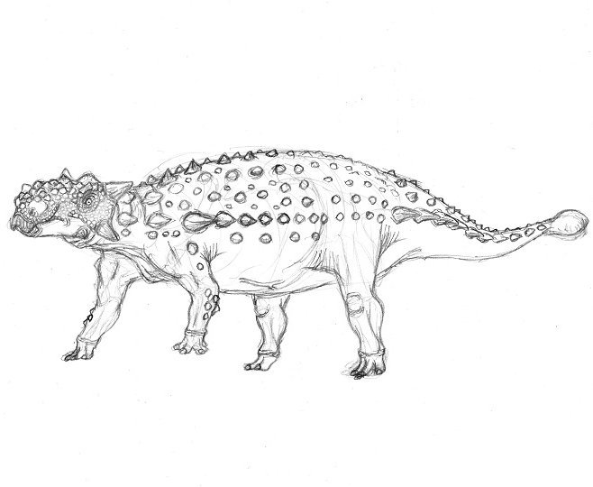 K Ta けーた ブタメン على تويتر タルキア Tarchia Gigantea 昔 Uha味覚糖が出したコレクト倶楽部のフィギュアに タルキアの頭骨があるけど メチャクチャ良くデキてんだよな 最大級の鎧竜の1つらしいね デカいヤツ程 頭ばっか見つかって体が見つからないのが