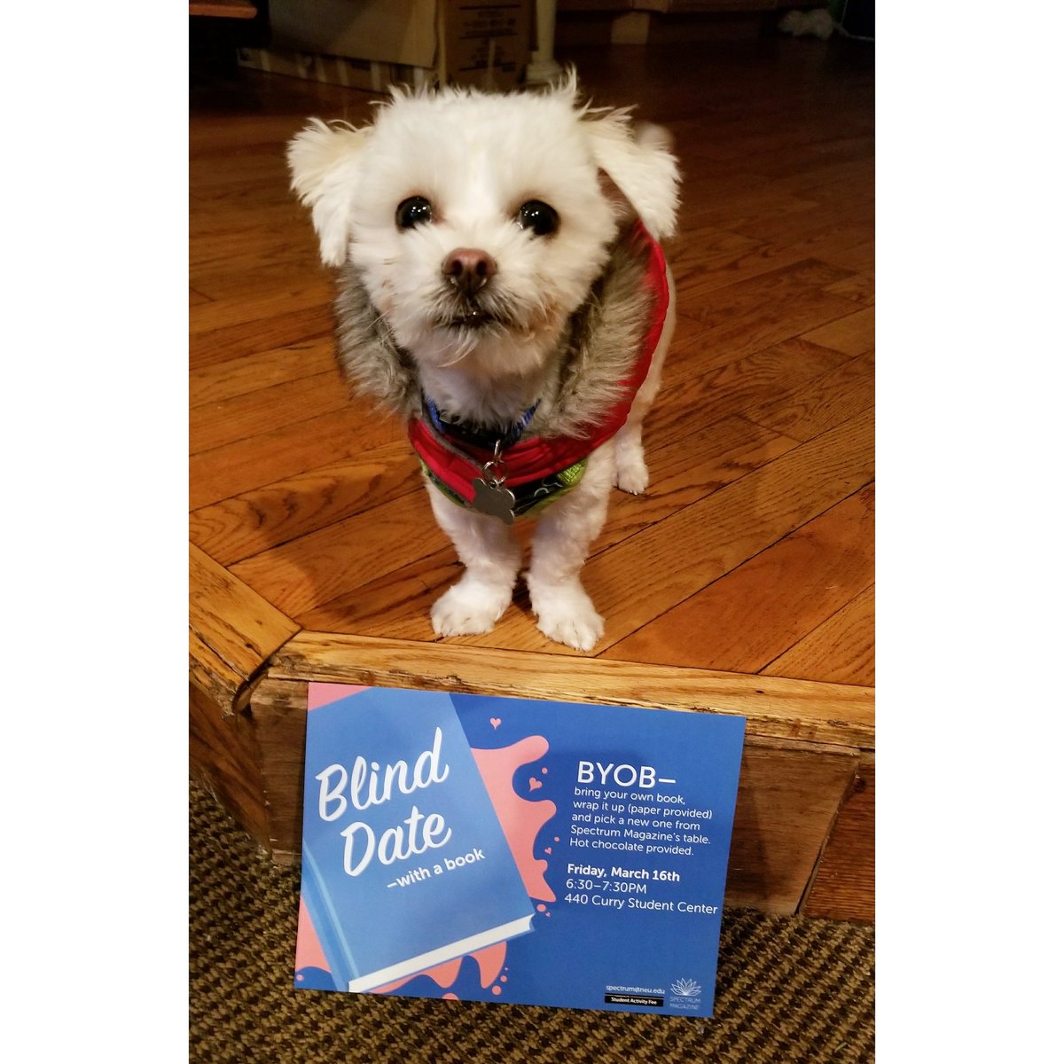 Spectrum Magazine tweet media