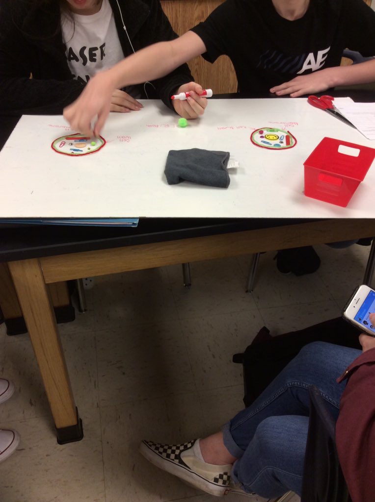 LednickTweets's tweet image. You all know what a cell looks like, right? But how would you turn one into two?! #STEMmodeling #artsncraftstime #mitosis