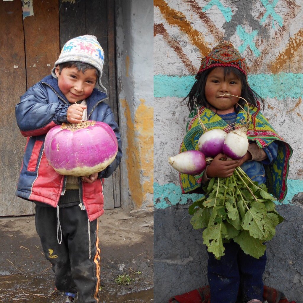 never too old to harvest