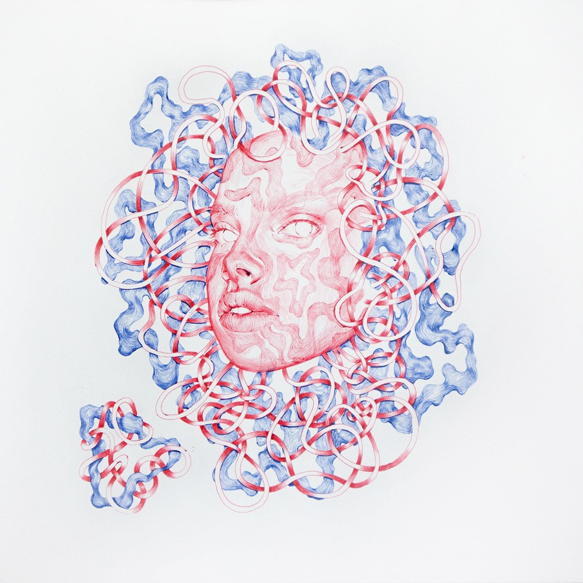 Booooooom's tweet photo. LOVE LOVE LOVE these ink drawings by artist Daria Pekh! https://t.co/eBDIxoue0N https://t.co/684ilAPYzr