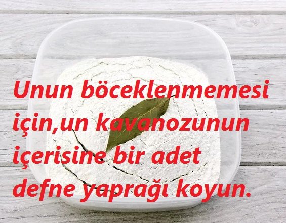 BingoBilgi's tweet photo. Halıdaki sigara yanıklarından, yanık yerler üzerinde zımpara kağıdı ile dairesel hareketler yaparak kurtulun.
#hali #halitemizleme #pratikbilgi #pufnoktasi #bingobilgi #zımpara #kağıt #daire #dairesel #hareket #sigara #sigarayanigi #kurtulma #kurutma https://t.co/EteiKpm5cs