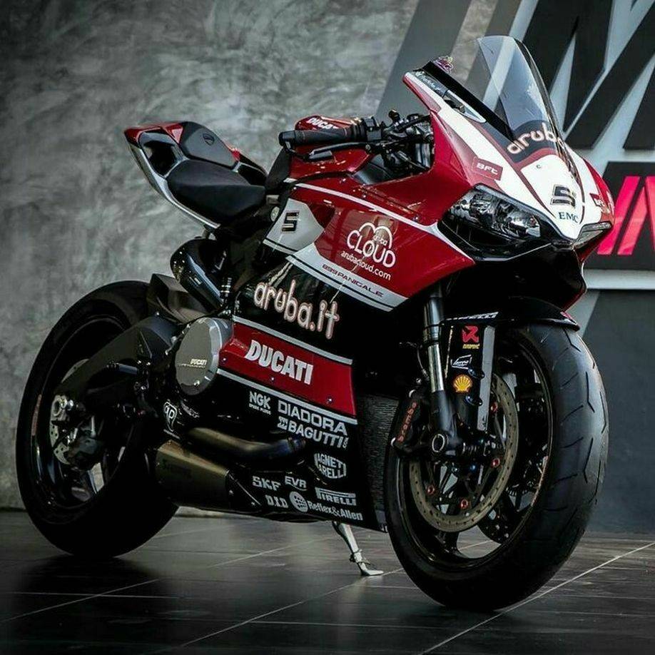 Nocioloo (@Boris_Rakic) | Twitter