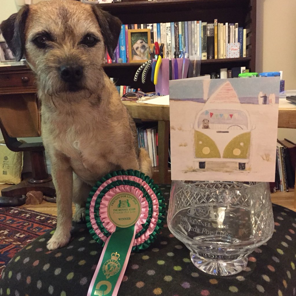 SassVH's tweet photo. @maggiesgran thank u all enormously @btposse #friendsforlife2018 #winners #breedrescue thx to all that voted @quirkyantiques ugs n lov I get maw cards dan ma’s bday BOL! @WhatWeCallTilly hoogran n hoogrdad too treasured #congratulationcards fankoo Heidi,H,S @misheleneous ❤️🐾 https://t.co/KbGWzHFEta