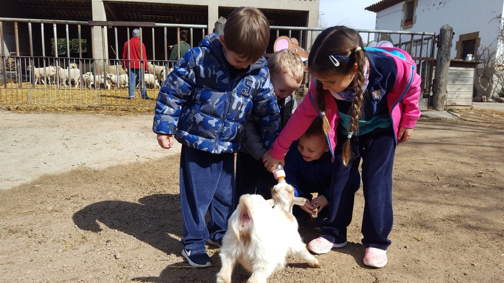 SGeorgesSchool's tweet photo. 🦆🐖Sortida a Mas Casablanca! 🐇🐑 #educacióinfantil https://t.co/Ek83DuZdTA