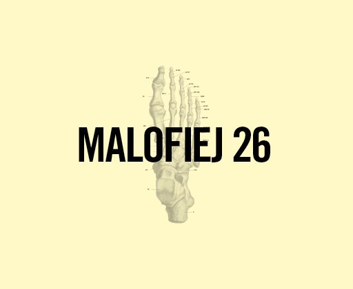 Awards list with all the winners of #Malofiej26 malofiejgraphics.com/wp-content/upl…