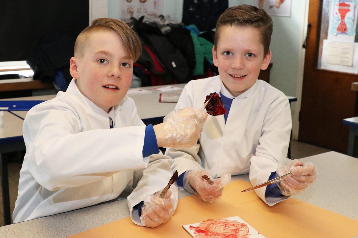 PingleAcademy's tweet photo. Everyone looks like they are enjoying #primaryscienceday @PingleAcademy https://t.co/HzZJbYRfuW