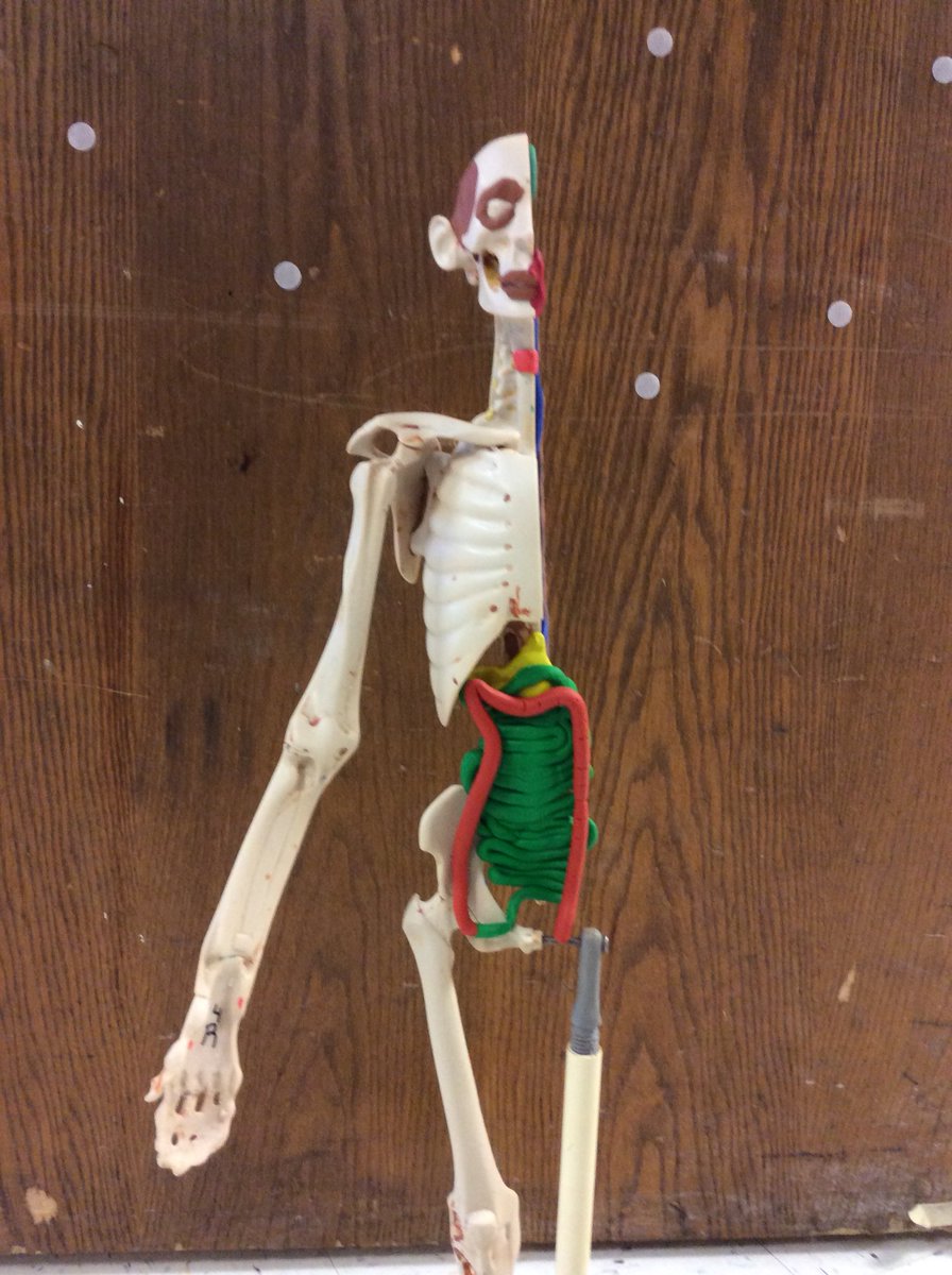 Biomedical Science tweet media