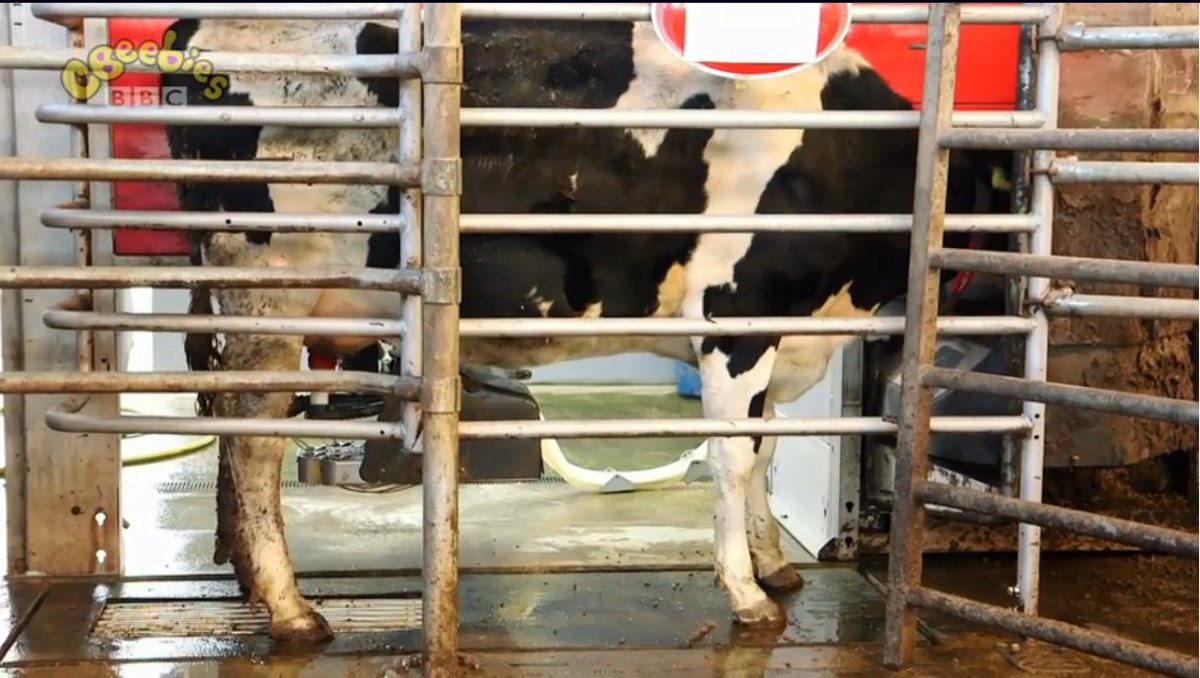 LelyAtlantic's tweet photo. Thanks for featuring the #LelyAstronaut and the #LelyJuno on Down on the Farm @CBeebiesHQ  - good to see such a positive message about #dairy and #farming on the BBC! #nextgenmilkers #futurefarming #nextgen 
Watch it here: https://t.co/TqwLldmkrx https://t.co/YsIcv5byVn