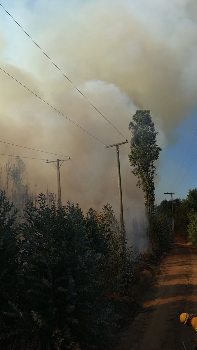 BombaQuilpue's tweet photo. Trabaja @bomberosCBQ con apoyo de @conaf_minagri https://t.co/Rr0zaAh3eU