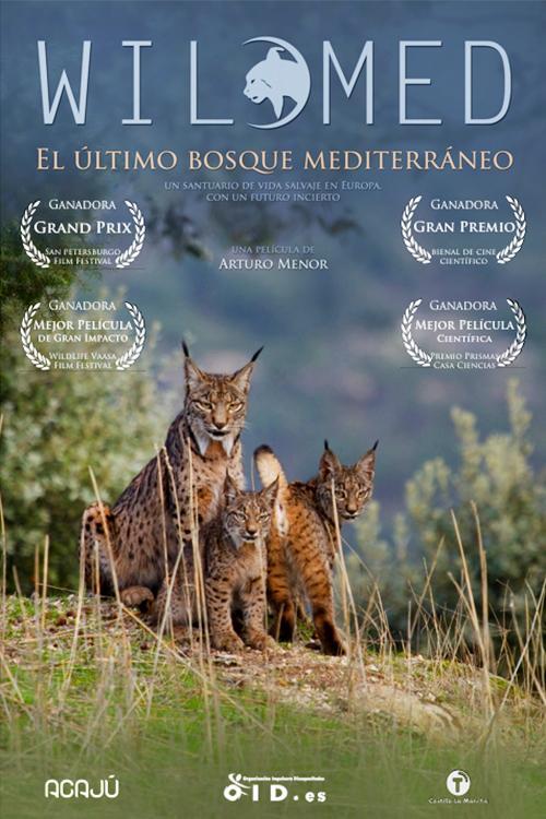 FelixCuenta's tweet photo. Y para dar por finalizado el I Congreso Internacional de Conservación Activa y Ornitología en memoria del Dr. Félix Rodríguez de la Fuente, visionamos el documental "Wildmed El último bosque mediterráneo" de Arturo Menor 

#FélixCuenta https://t.co/NSx8BczPCO