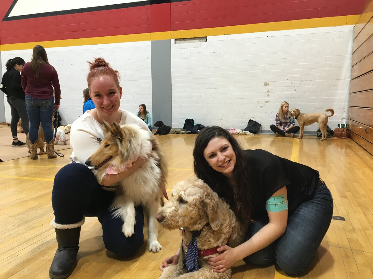 OVCPetTrust's tweet photo. Attending #CollegeRoyal2018 this weekend? Be sure to check out one of our favourite events: the Dog Show! Happening Sunday 9-5 in the Athletics Centre, Main Gym @UofG. More info: https://t.co/3K7GpgZDc9 https://t.co/fKRrSisqI0