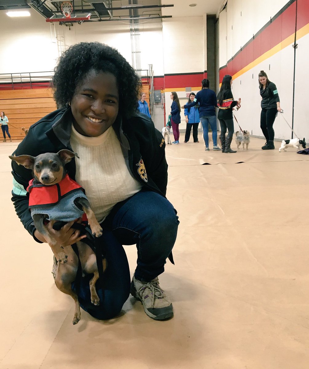OVCPetTrust's tweet photo. Attending #CollegeRoyal2018 this weekend? Be sure to check out one of our favourite events: the Dog Show! Happening Sunday 9-5 in the Athletics Centre, Main Gym @UofG. More info: https://t.co/3K7GpgZDc9 https://t.co/fKRrSisqI0