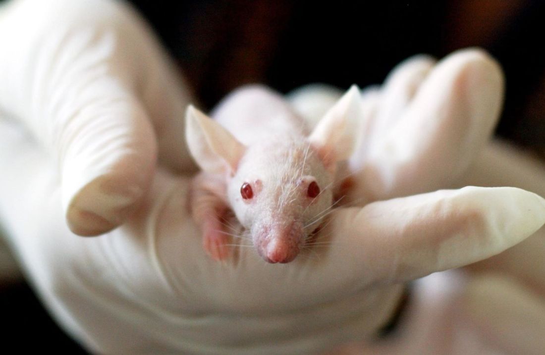 Logran reducir el tamaño de la metástasis hepática del cáncer de colon en un 80% en ratones mediante nanopartículas ow.ly/2fWb30iYPN3