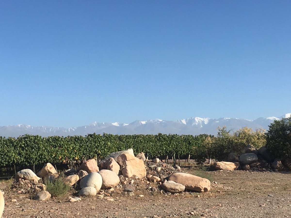 MetzooOK's tweet photo. Linda manera de cerrar la semana: ¡instalando equipos! ¡Más productores vitivinícolas tomando mejores decisiones y optimizando recursos! 💪🍇🍷#Campo #MundoCampo #IoT #IoTPlatform #AgTech #PrecisionFarming #InternetOfWine https://t.co/z7jPfc0QcT