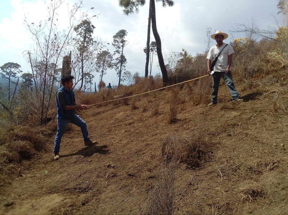 forestal_manuel's tweet photo. En la brecha corta fuego #CONAFOR #PSAH https://t.co/cJvBtSkp2V