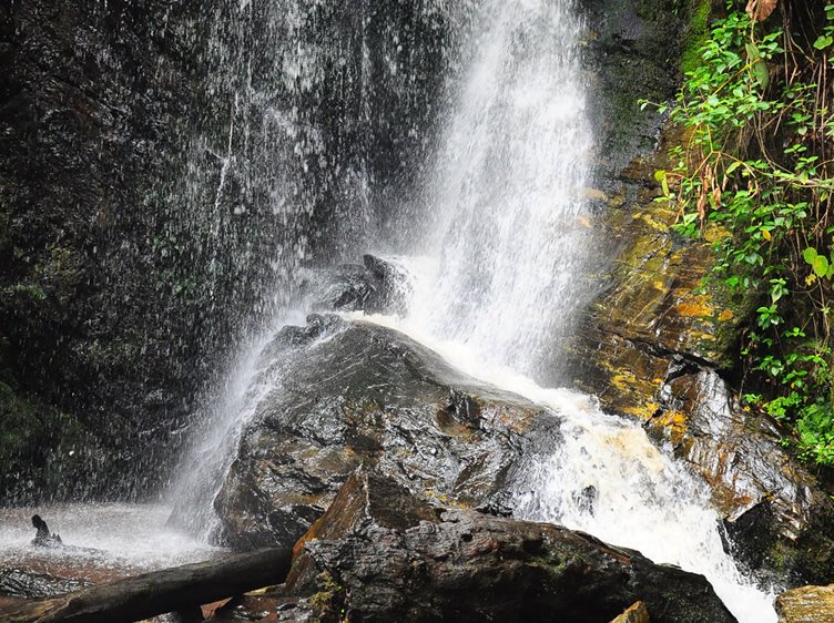 OsunObserver's tweet photo. Olumirin waterfalls(aka Erin-Ijesha waterfalls), Erin-Ijesha. @StateOfOsun 
📷 @VisitOsun  #OsunObserver https://t.co/loBeE2CWOd
