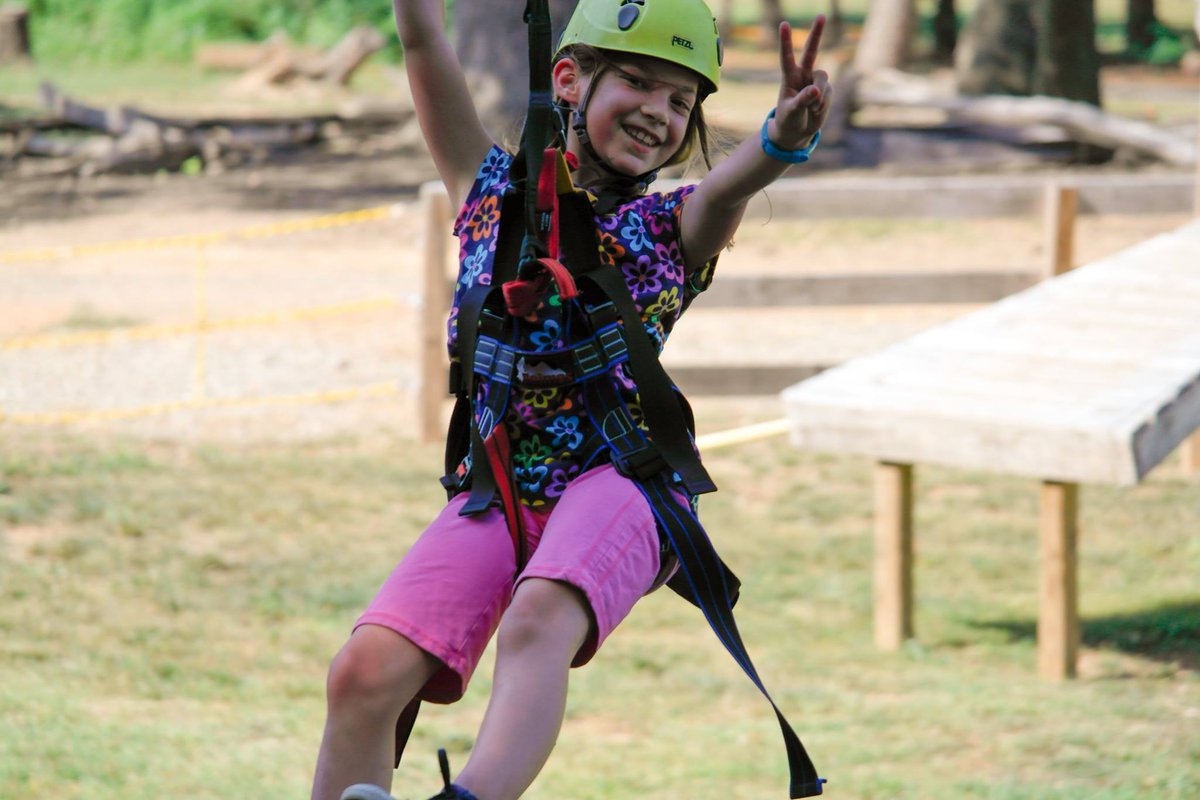 Asheville Treetops tweet media