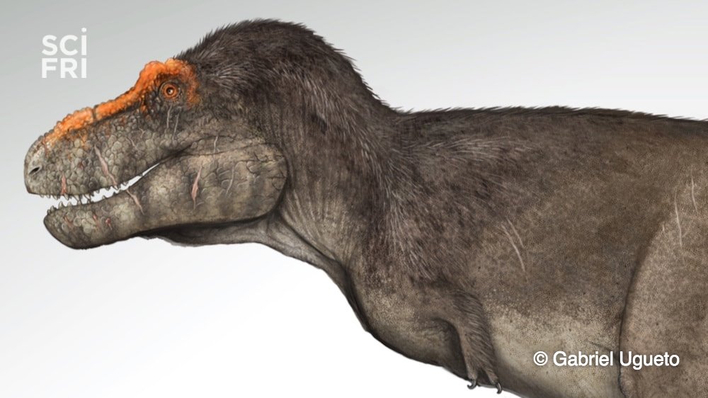 avian and non avian dinosaurs