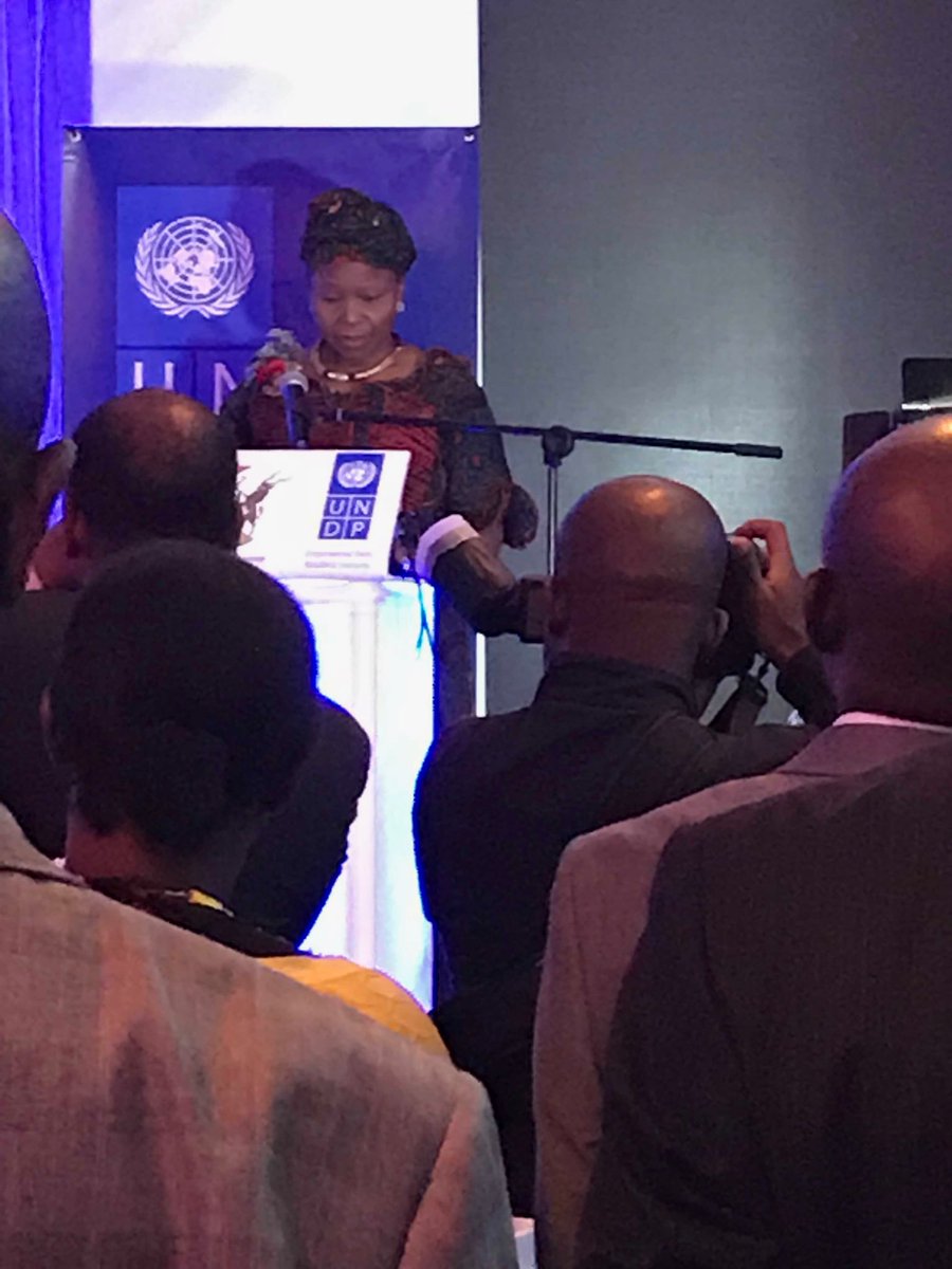 Hon Ministerif Env. Launches Zimbabwe Human Dev Report.