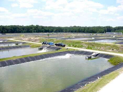 الفلتر العملاق لتدوير وتكسير ومعالجة الماء واستخدامه مره اخرى للمزرعه السمكيه وهو عباره عن سطح كبير يمر عليه الماء وينزل على هيئة دش ويمر من خلال صناديق بلاستيك مملوءه بقطع بلاستيك شبكيه وتنقية الماء واعادة استخدامه للسمك بالاماكن قليلة المياه ويمكن وضع اضافات كالحصى الخشن