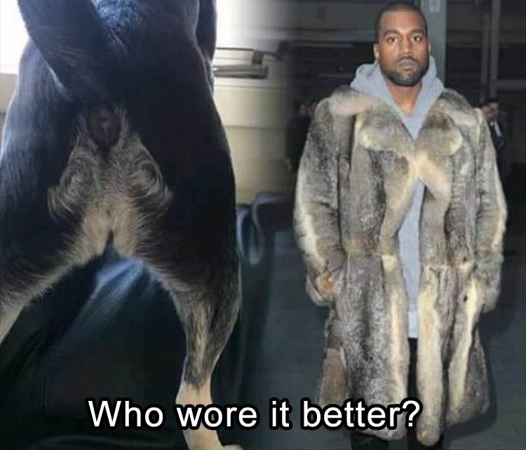 Who made this!?!!🤣😂😅