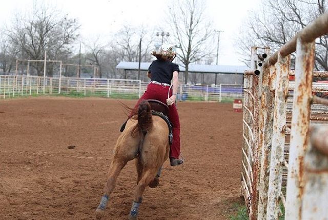 LakotaTrailers's tweet photo. "We have a habit of coming out of nowhere and winning things ๐คท๐ผโโ๏ธ๐
.
#lakotatrailers #lakotaypa #horse #horses #redd #reddun #gelding #AQHA #quarterhorse #SmartLittleLena #11yearold #barrelhorse #barrelrace #barrelracing ๐ท: @gallop_aroundthe_world " https://t.co/YtuQxTBHHW