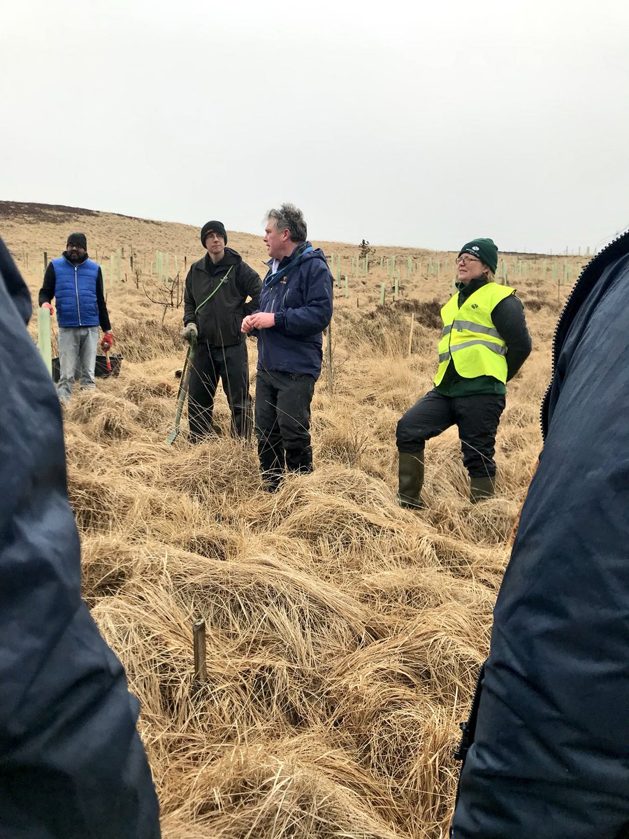 RTNSheffield's tweet photo. Tree planting event , to celebrate those who have successfully completed a drug and alcohol program with Phoenix Futures . @PhoenixFutures1 @PFDerbyshire @RtN_Scotland @ https://t.co/x0pCApd5Ja