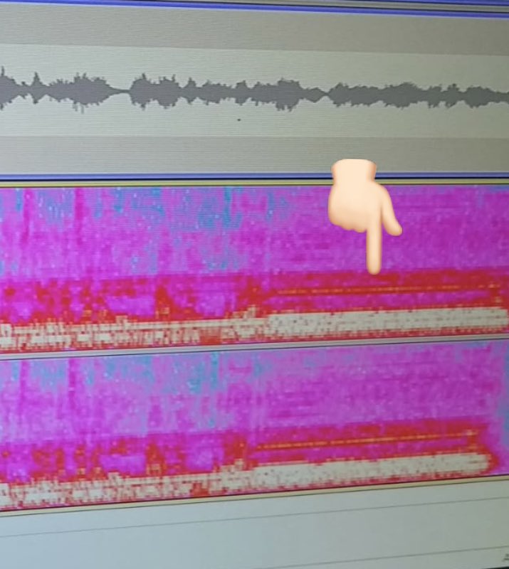 PoleJason's tweet photo. Our lead in #4Kquartet is a bit of a #barbershop nerd. This image shows us singing. Harmonic moments shown in pink. Magic #overtones shown too (thin white line)... https://t.co/vGef070J7V