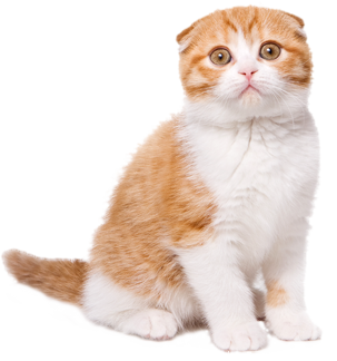 thetideishight's tweet photo. @Didinette02 @yanne888 @Lafofe26 @mmjoymm_StP @PierreLePigeon @KKokorinko @birgitlissowsky @Millakisu @Verywimp @Madelei98465055 @CPettle @m_yosry2012 @CoralieArtu @Tirolerin45  https://t.co/kbDqOtHwrC