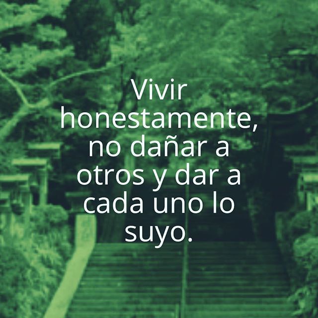 slowmalaga's tweet image. Bonita filosofía para empezar el fin de semana o...el resto de nuestra vida 💚#slowmalaga🐢 #slowlife #slowweekend ift.tt/2HEvvtB