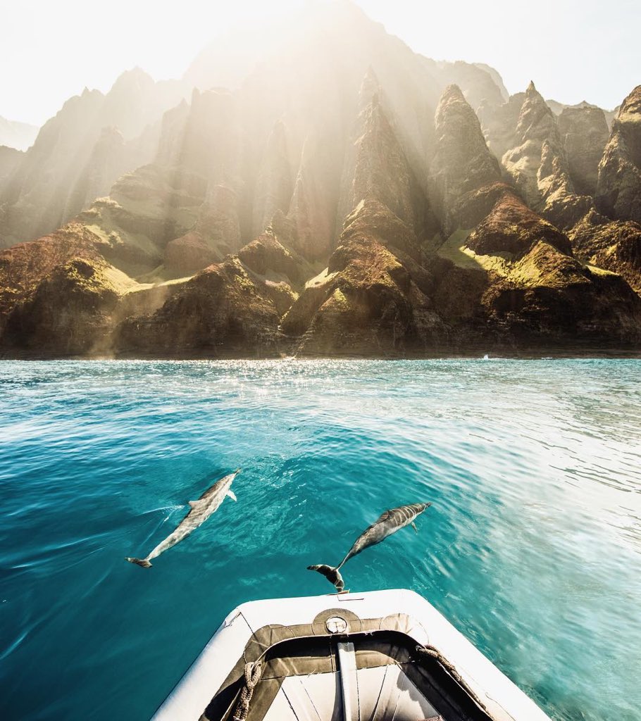 Kauai, Hawaii 🐬 | Photography by Chad Koga