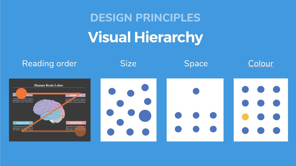 biotweeps's tweet image. First #designprinciple to consider? Visual Hierarchy! As in, what does the viewer look at first? 👀 You have control over this - think about how natural reading order (L --&amp;gt; R), size, space around an object, and colour draw the eye to certain *important* parts of the image 🤩