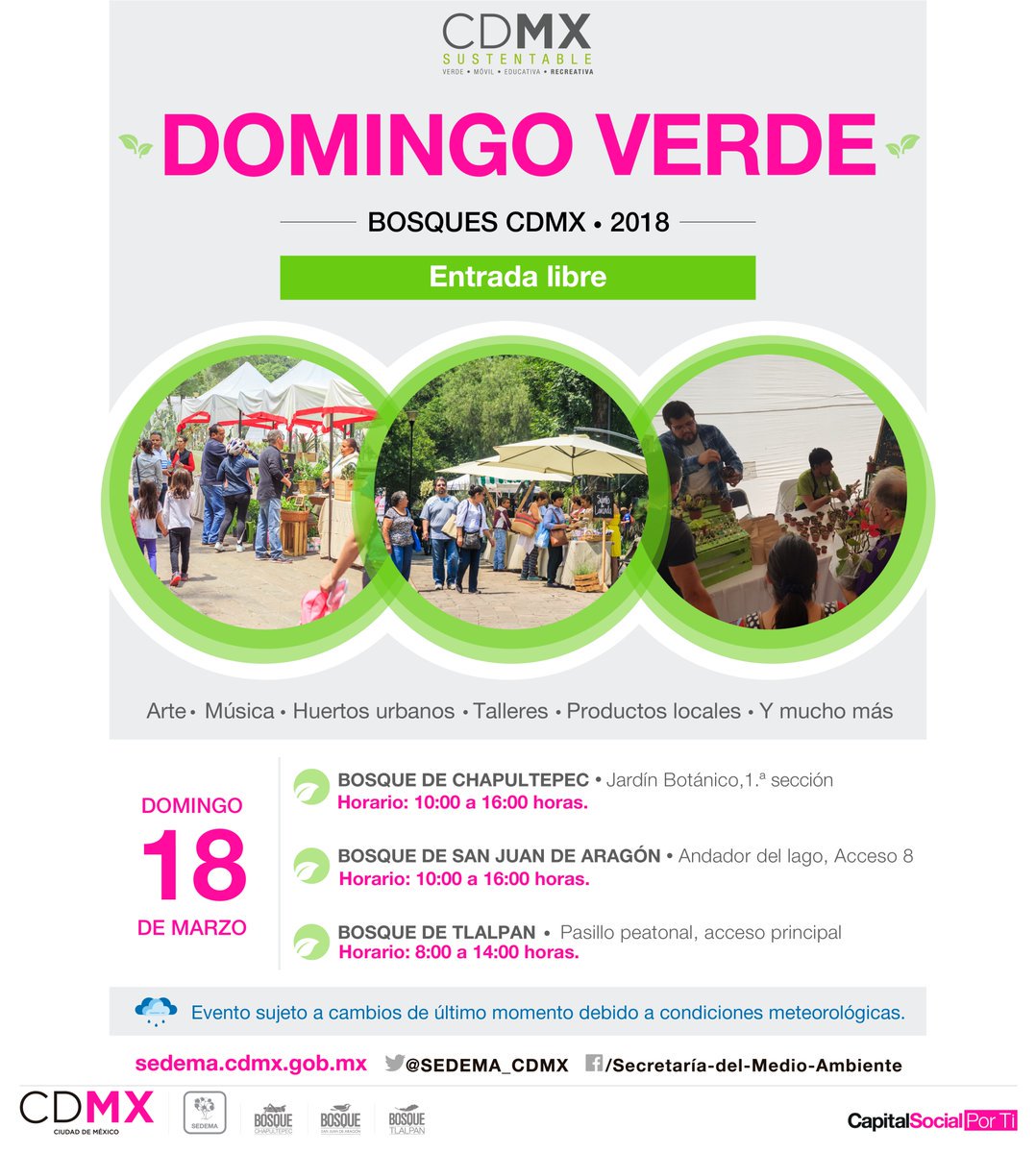 PlanVerdeCDMX's tweet photo. ¿Te interesa adquirir productos orgánicos hechos en la #CDMX? Entonces date una vuelta por el #DomingoVerde Te esperamos en el Bosque de @ChapultepecCDMX, Bosque de Tlalpan y el Bosque de San Juan de Aragón #BosquesCDMX https://t.co/gvcxOvub8q