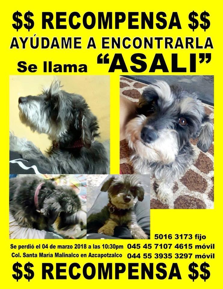 <a href="/ColoniasAzcapo/">Col. de Azcapotzalco</a>  me podrían apoyar con un RT por favor mil gracias👏