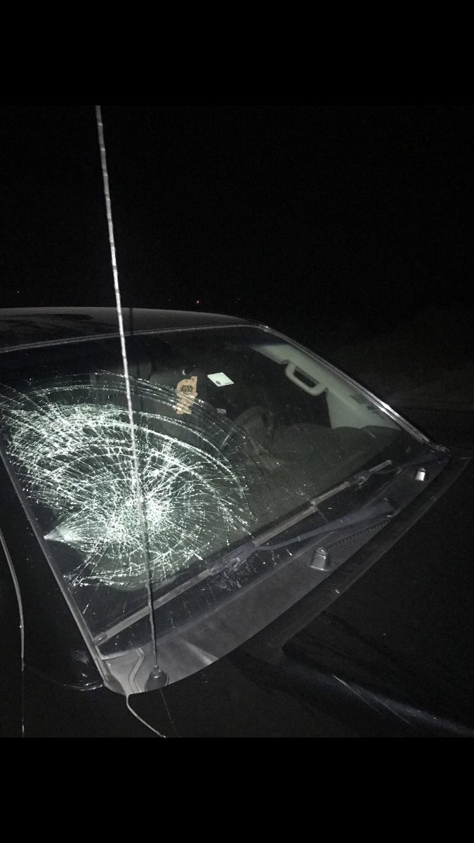 Bad_Luck_Derek's tweet photo. Drives to Colorado for lit spring break, obliterates owl with windshield. #badluckderek https://t.co/HDcq809Z2d