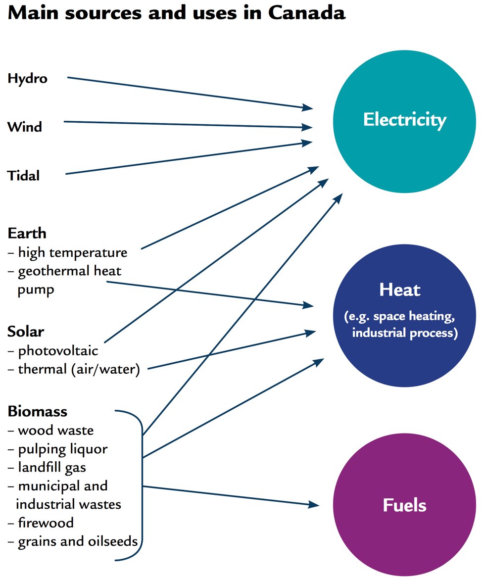 IEABioenergy's tweet image. Nearly 20% of Canada's energy supply comes from renewables; primarily hydropower and biomass! ow.ly/XnBm30ixGrY