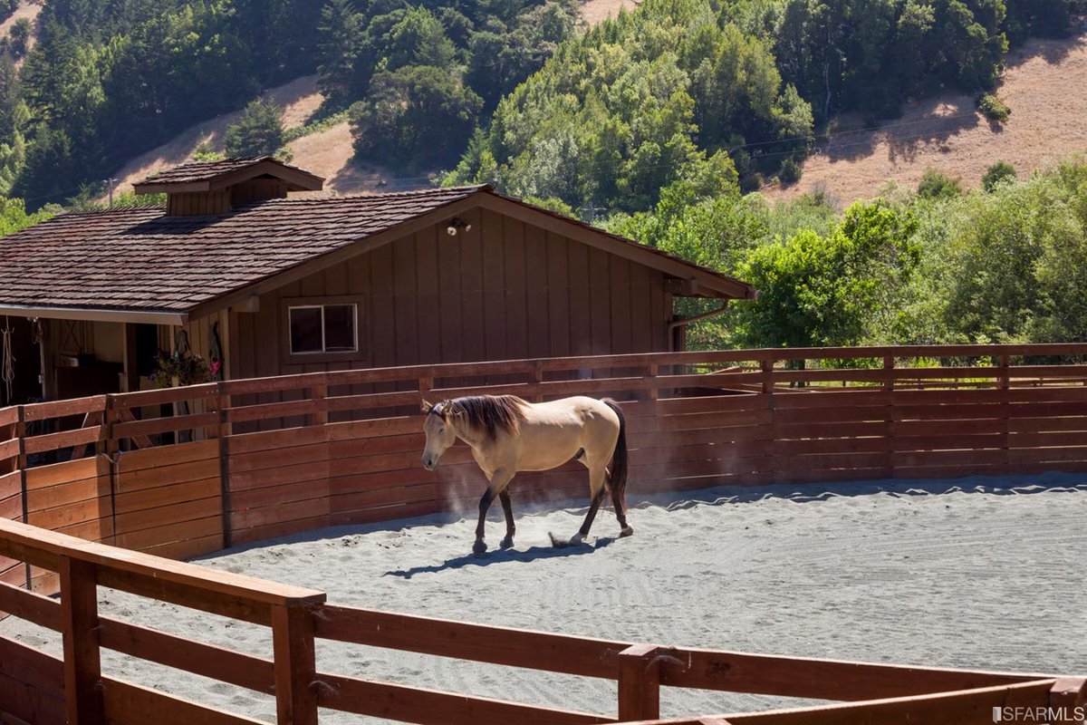 bayarea_cribs's tweet photo. Spectacular vistas
See more at:
https://t.co/1qwJa4tjUR https://t.co/yN6gMICJHC