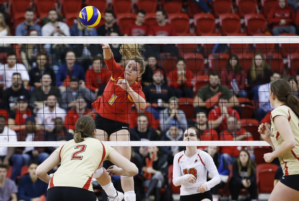 UCalgary Dinos tweet media