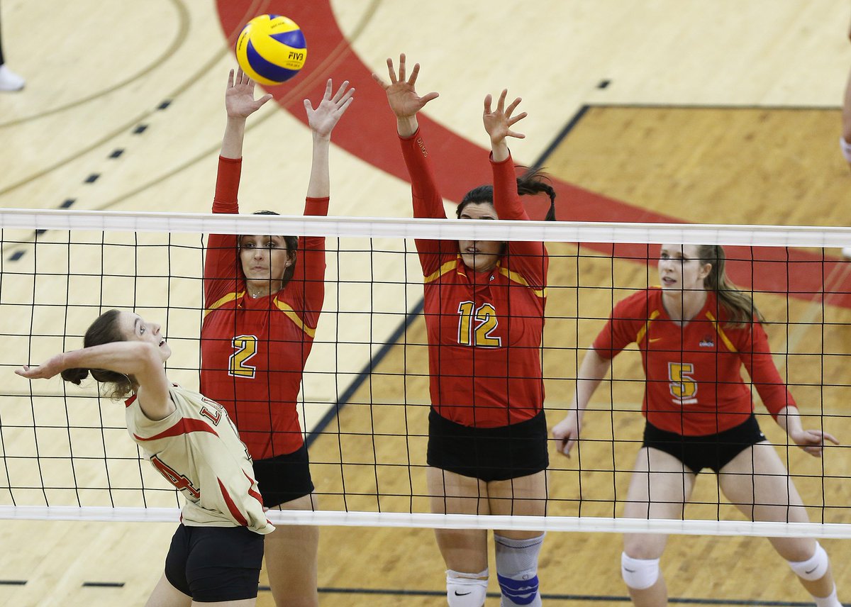 UCalgary Dinos tweet media